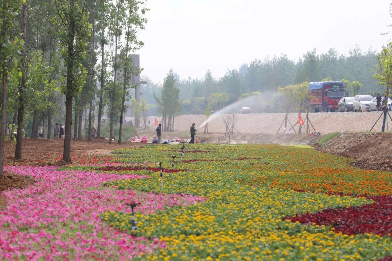 1591702799295754.png 1591702799295754.png