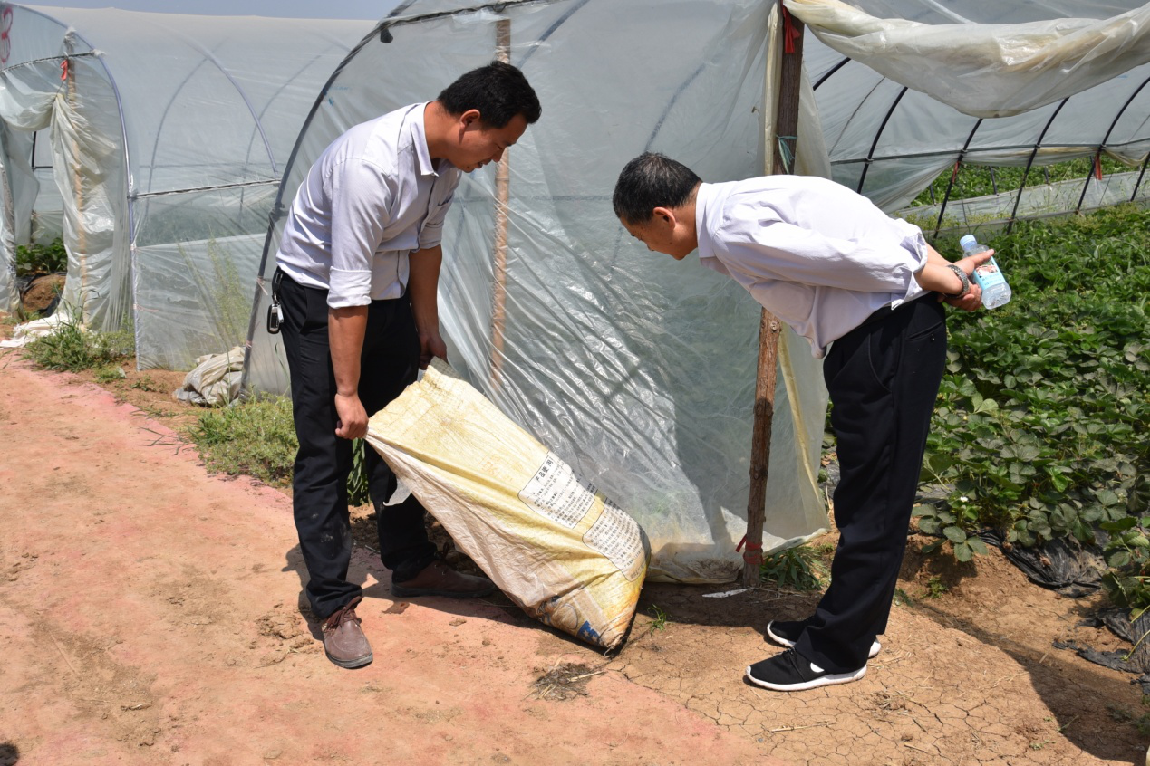 1526354768508012.png 1526354768508012.png