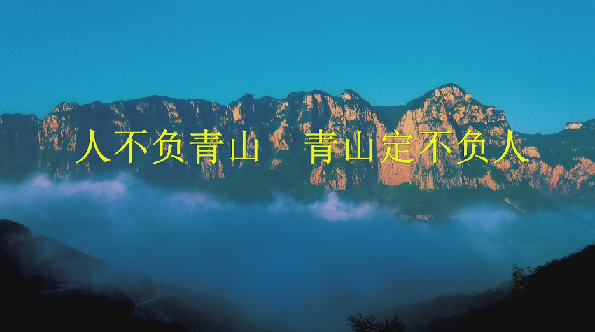 1656902959795128.png 3.png